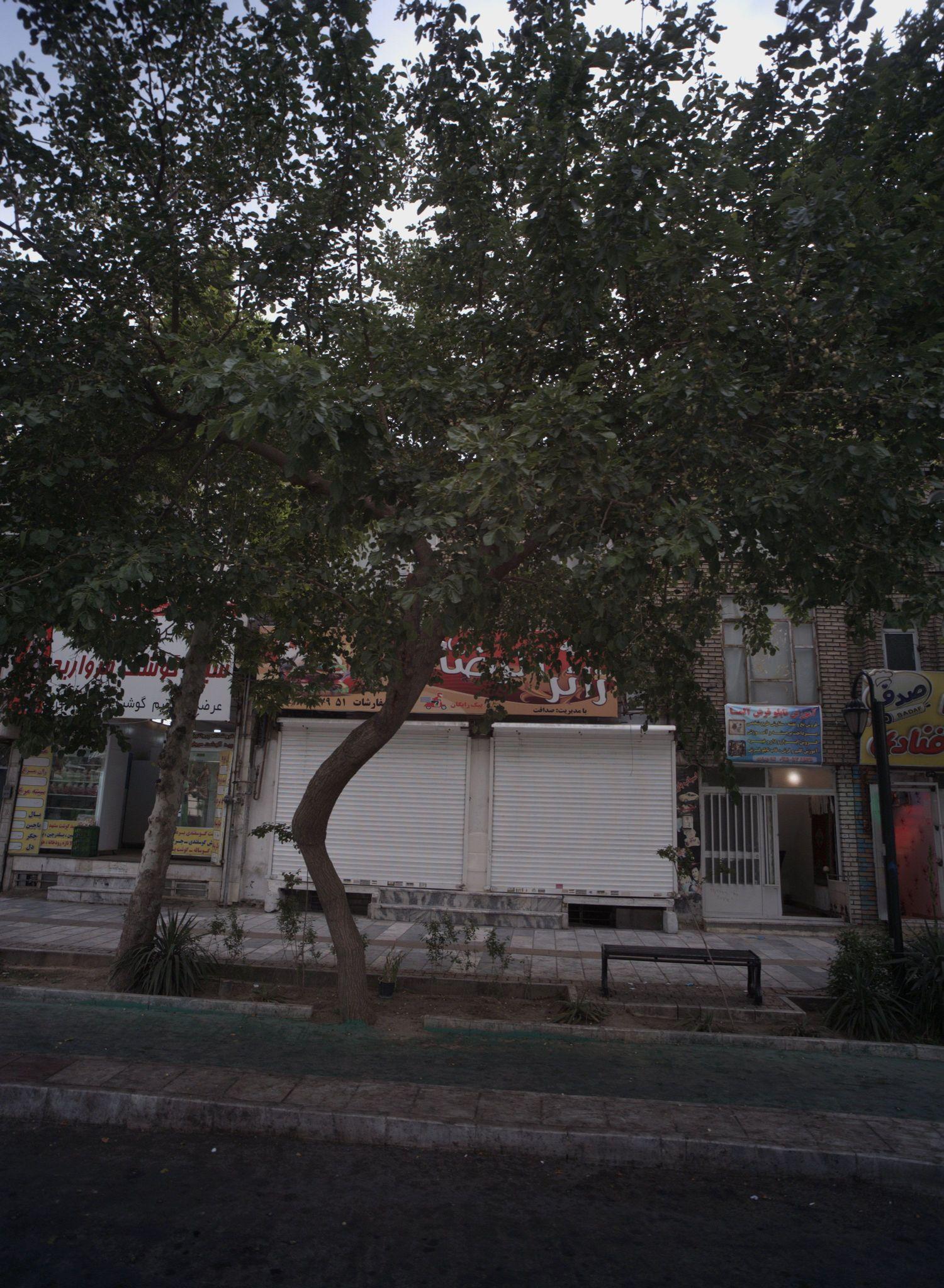 اغذیه فروشی زائر الرضا