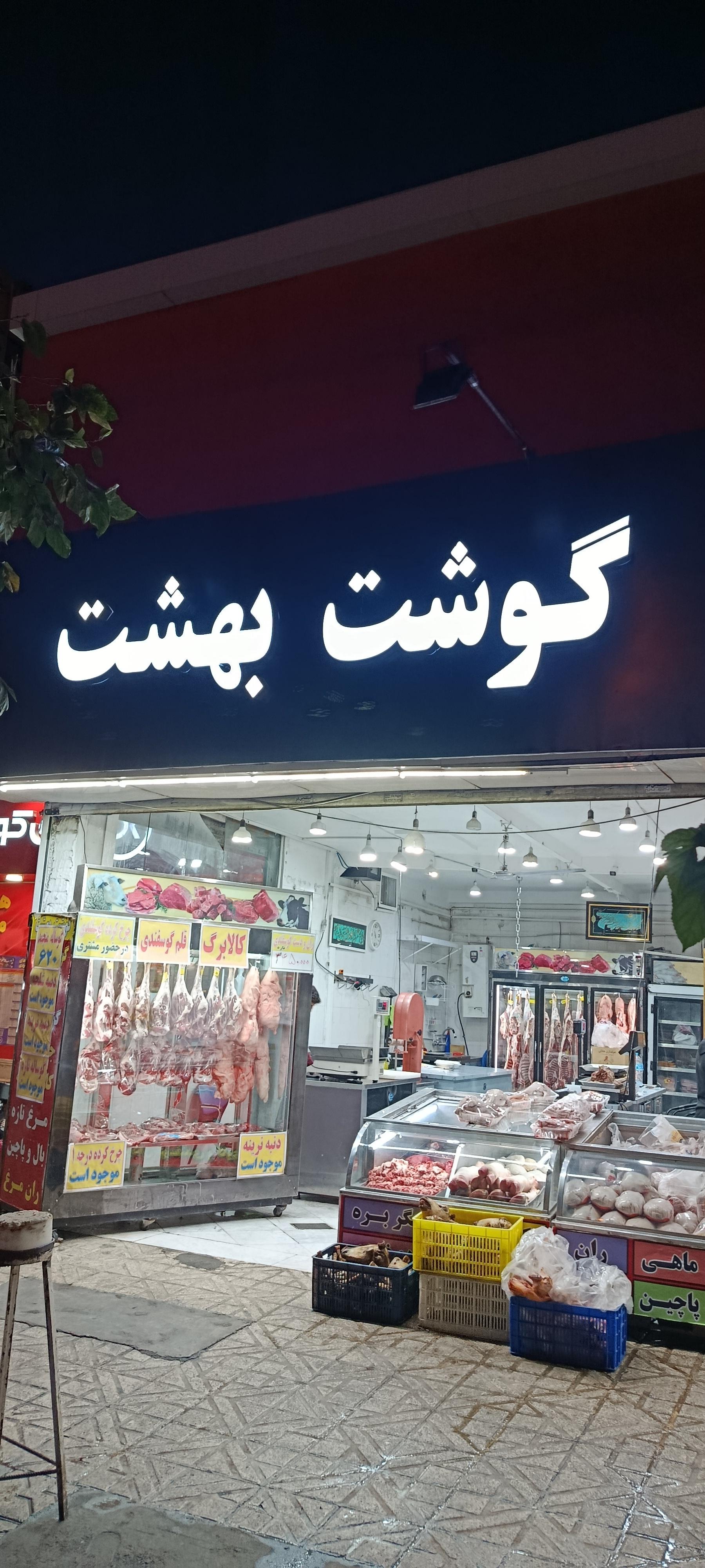 پروتئین محمد