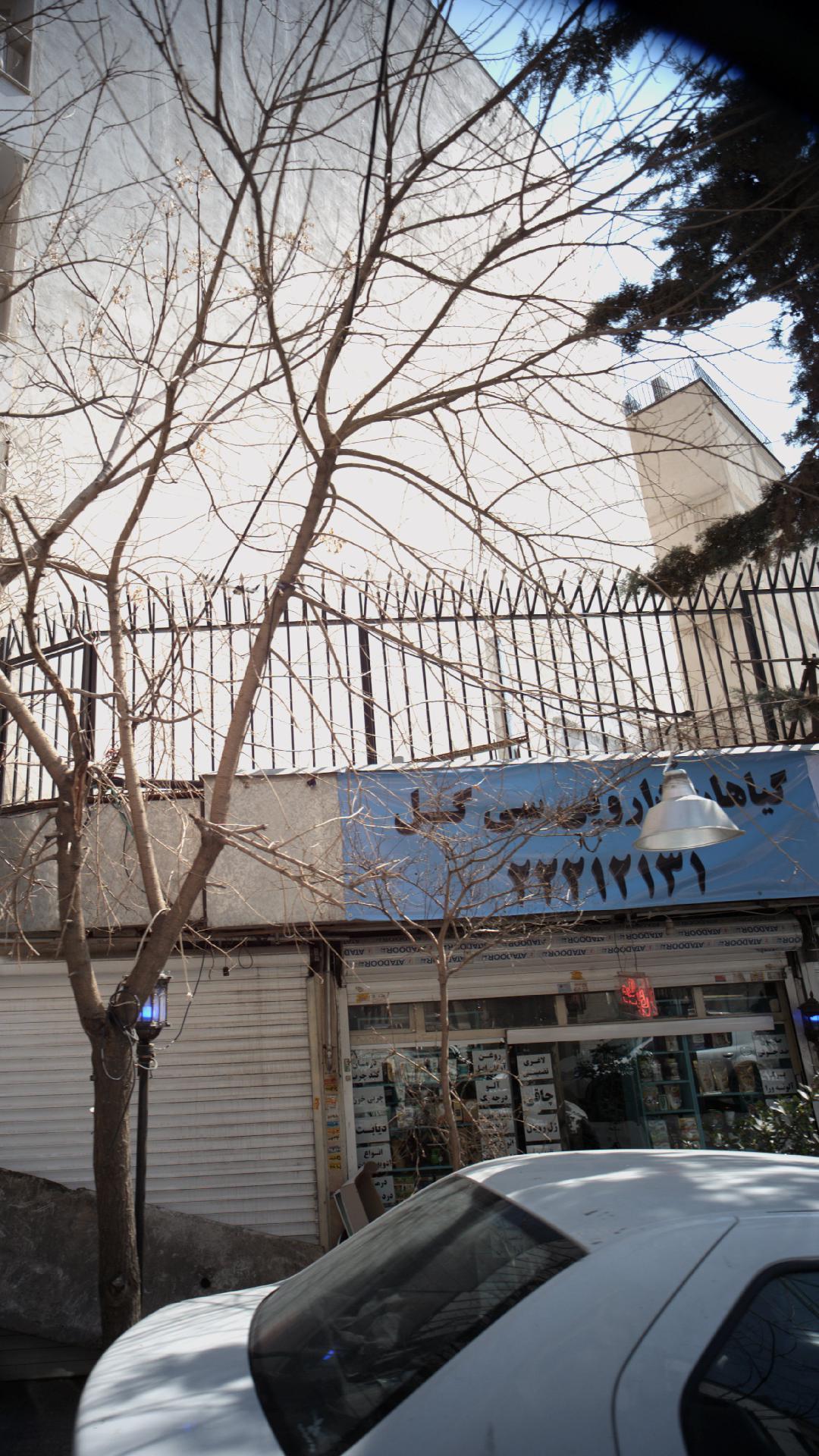 گیاهان دارویی سی گل