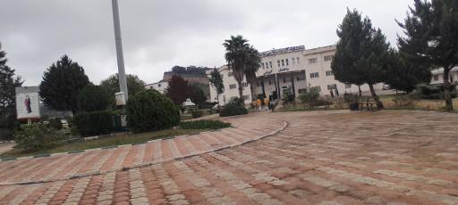 دانشگاه آزاد اسلامی واحد نکا
