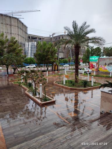 بیمه ایران شعبه بندرعباس