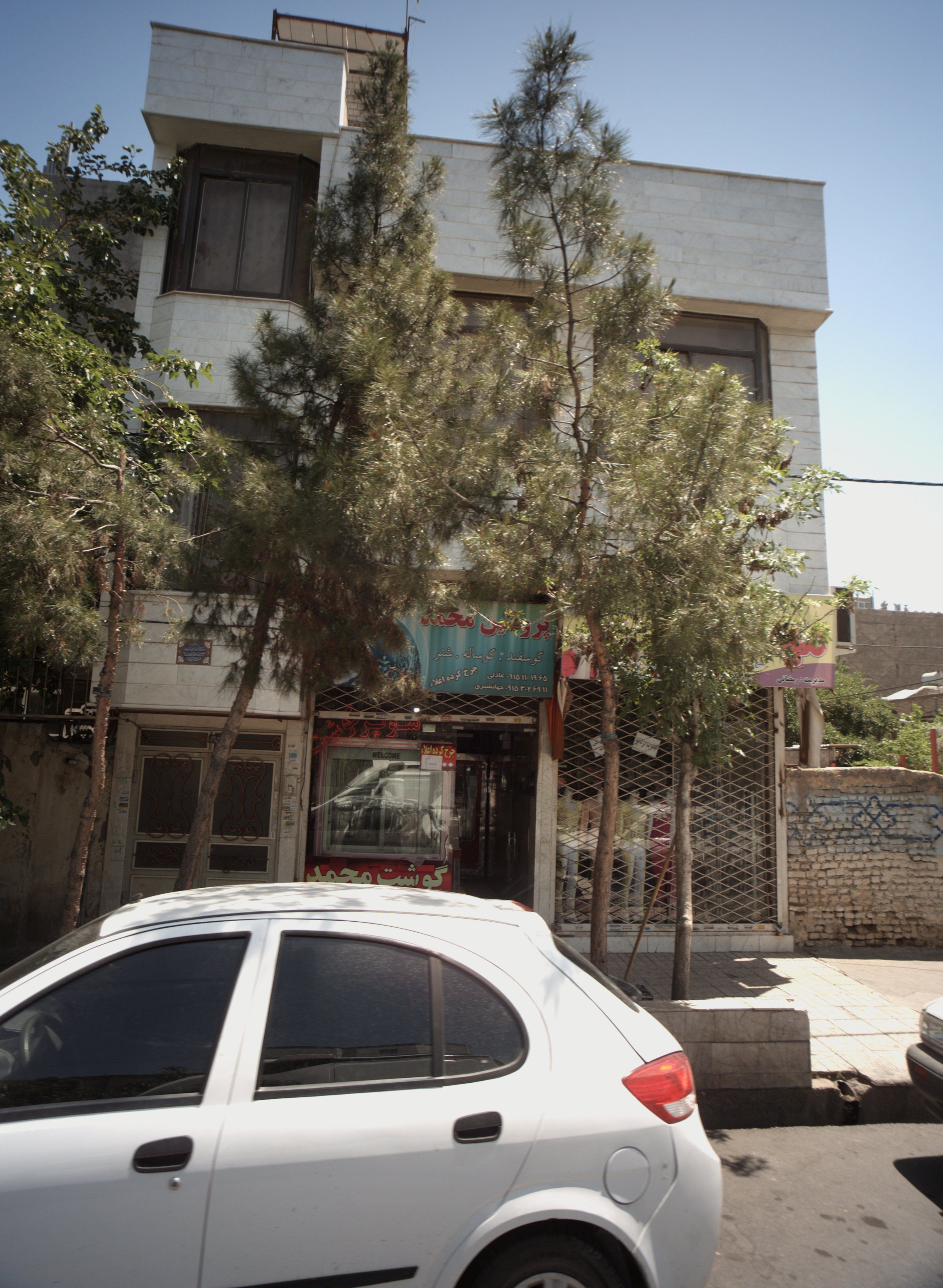 پروتئین محمد