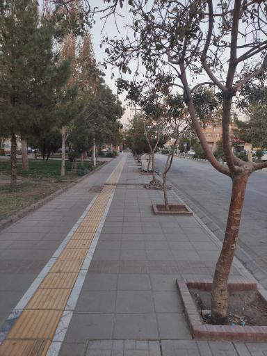 ایستگاه اتوبوس استاد یوسفی 8