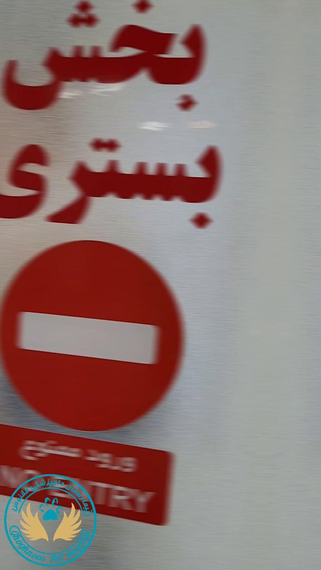 بیمارستان شبانه روزی دامپزشکی ققنوس