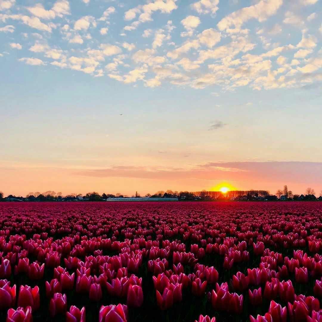 پارک روستای بیت فهد