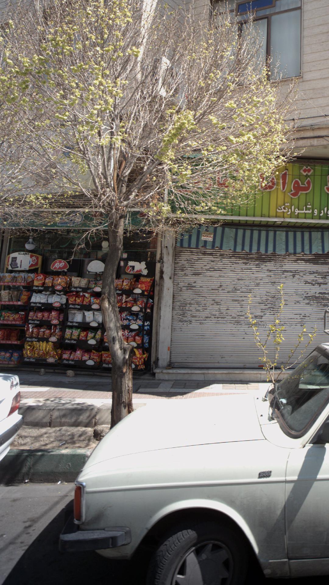 شرکت پخش سراسری ایران شیرین عسل