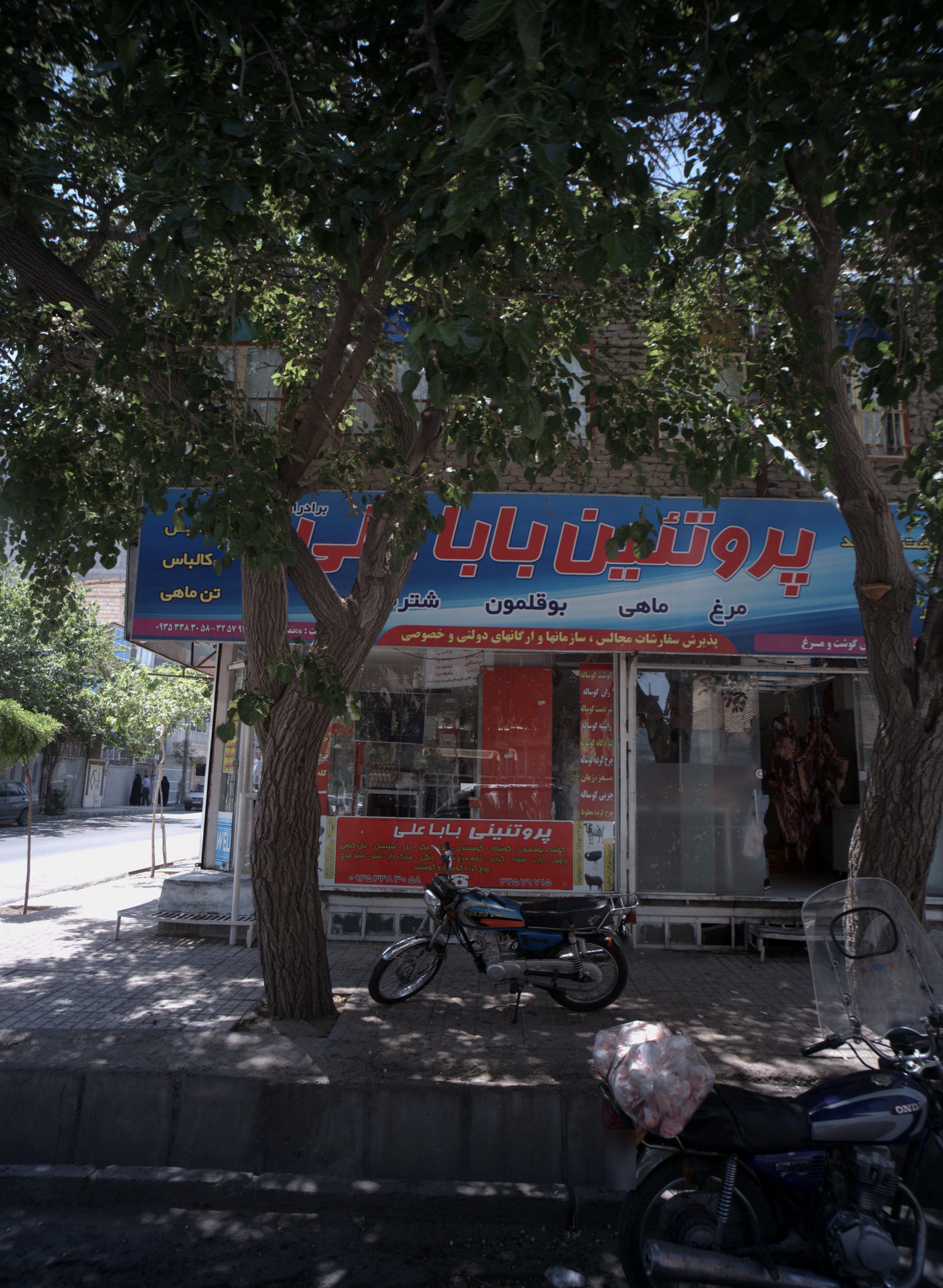 پروتئین بابا علی