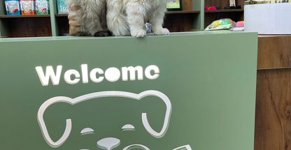 کلینیک دامپزشکی و پت شاپ