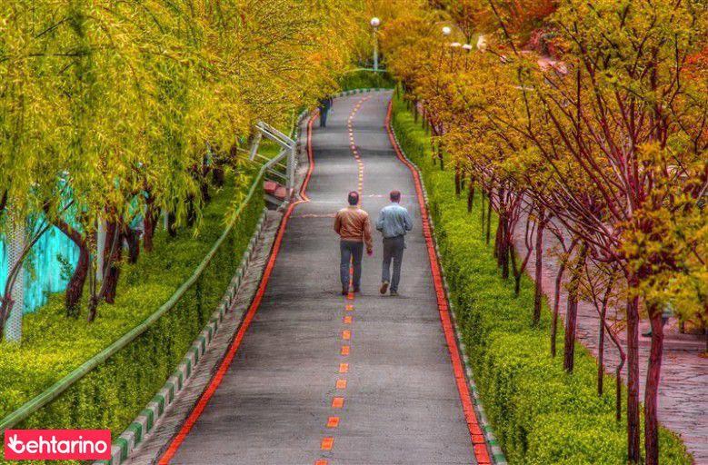 بوستان نهج البلاغه