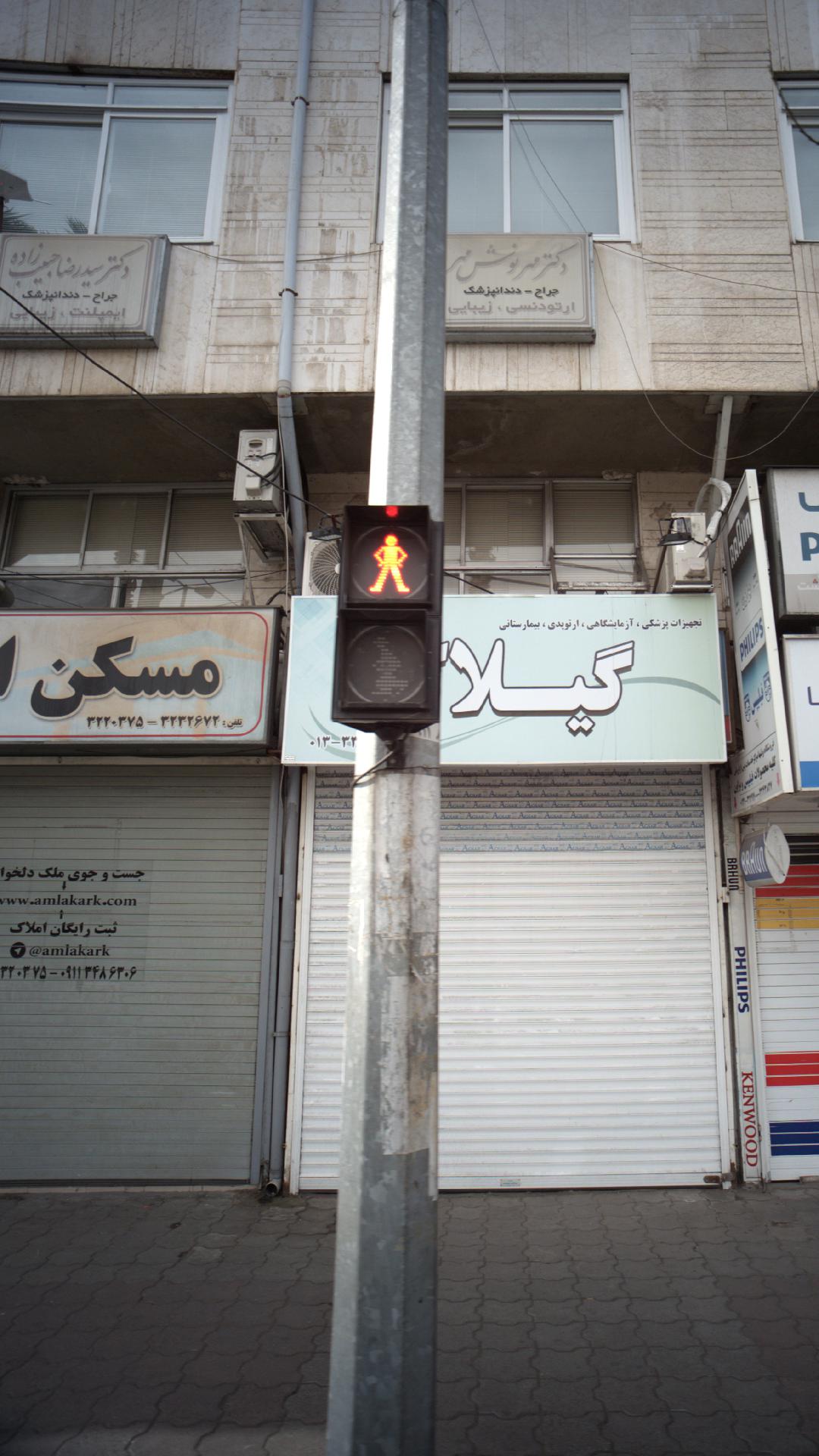 دکتر سید رضا حبیب زاده