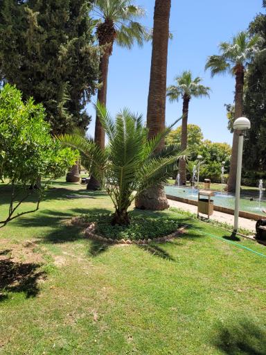 پارکینگ عمومی عفیف آباد