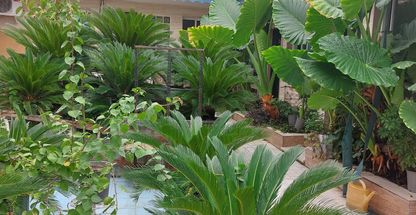 مهمان پذیر بهشت گیلان