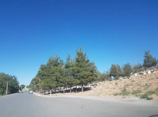 قبرستان سیصد منور
