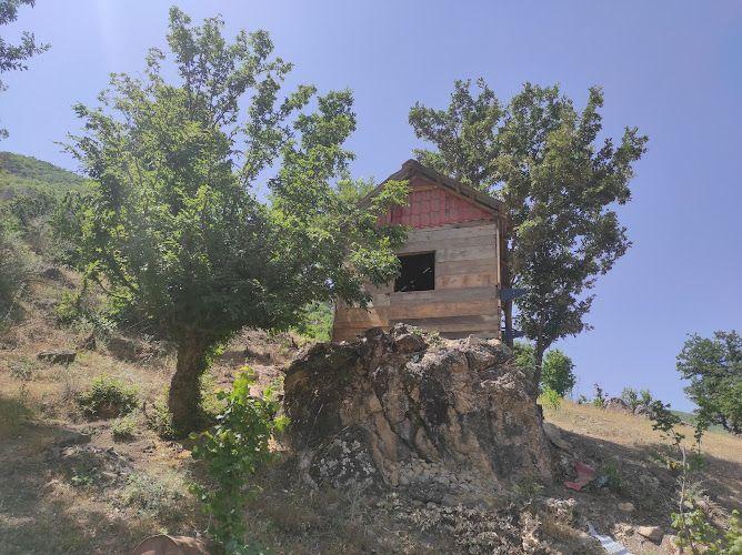 کلبه چوبی وحید