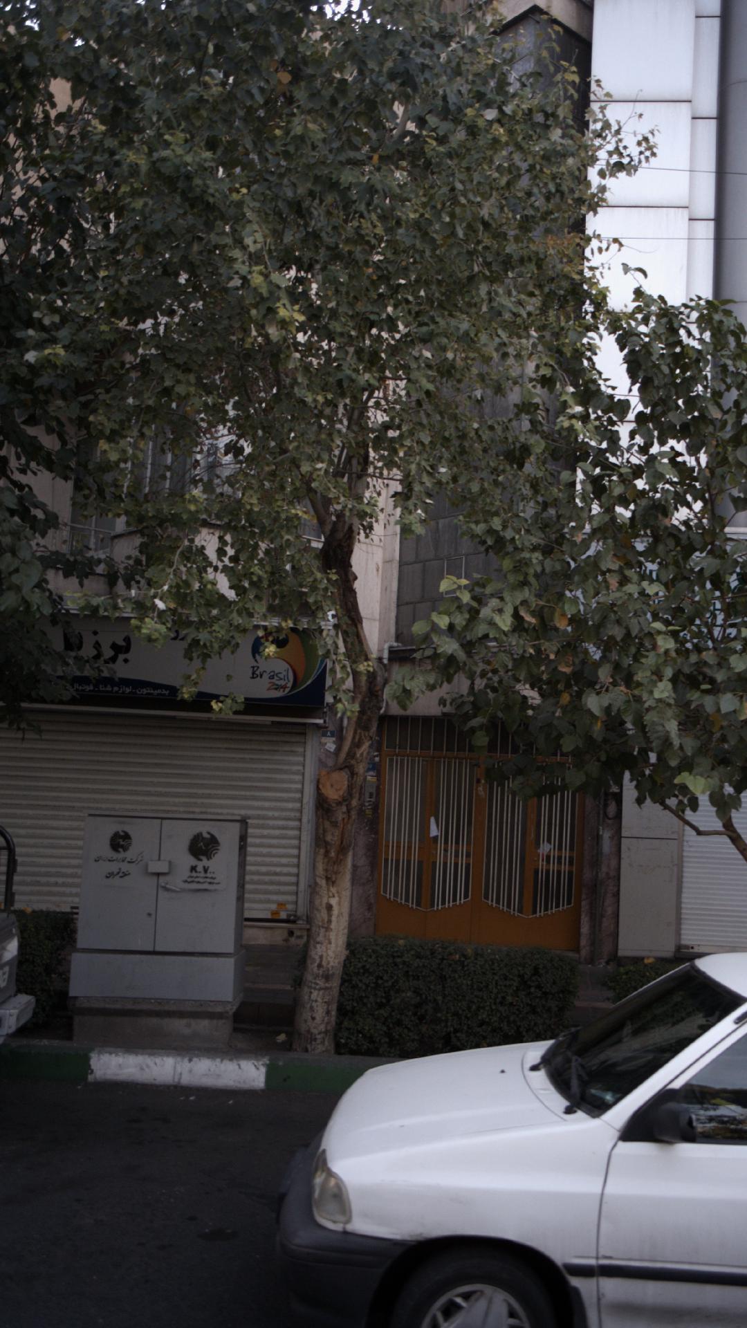 کالای ورزشی