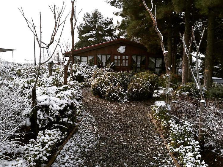 رستوران بهار تاتا