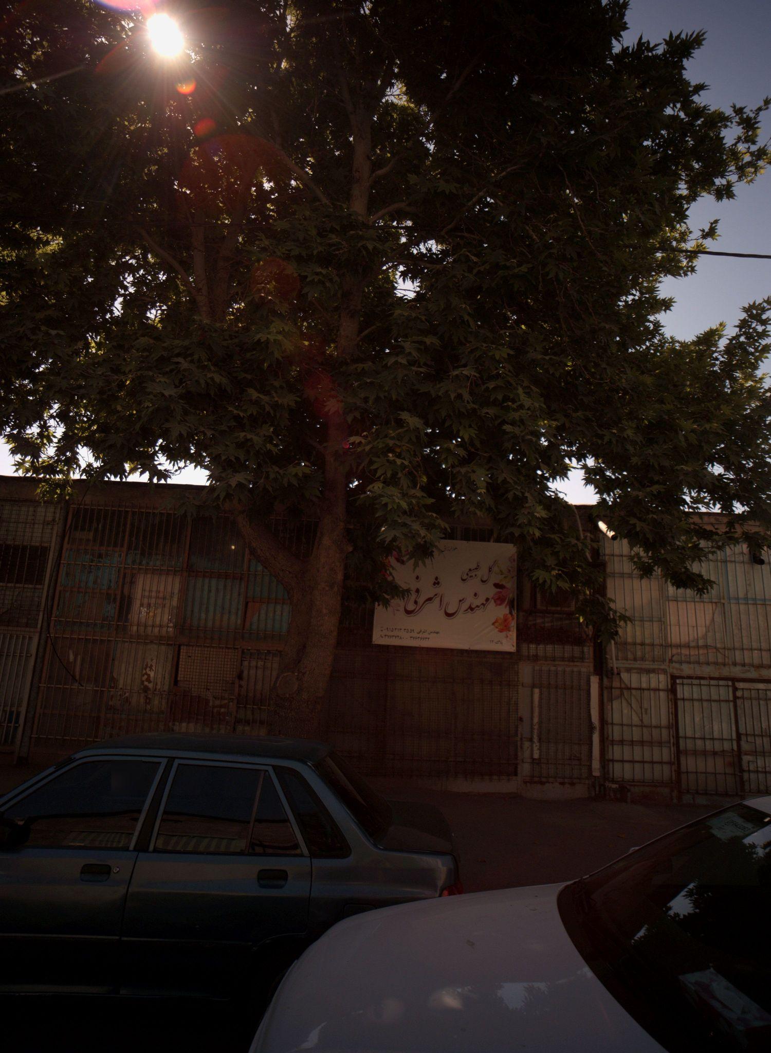 گل فروشی مهندس اشرفی