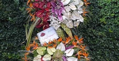 تاج ارکیده (آنلاین)