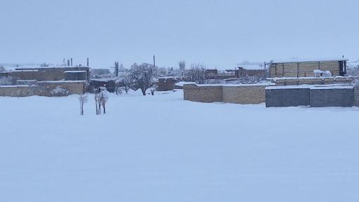 فروشندگی نیسیان