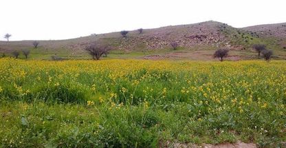 منطقه حفاظت گردیده هفت شهیدان