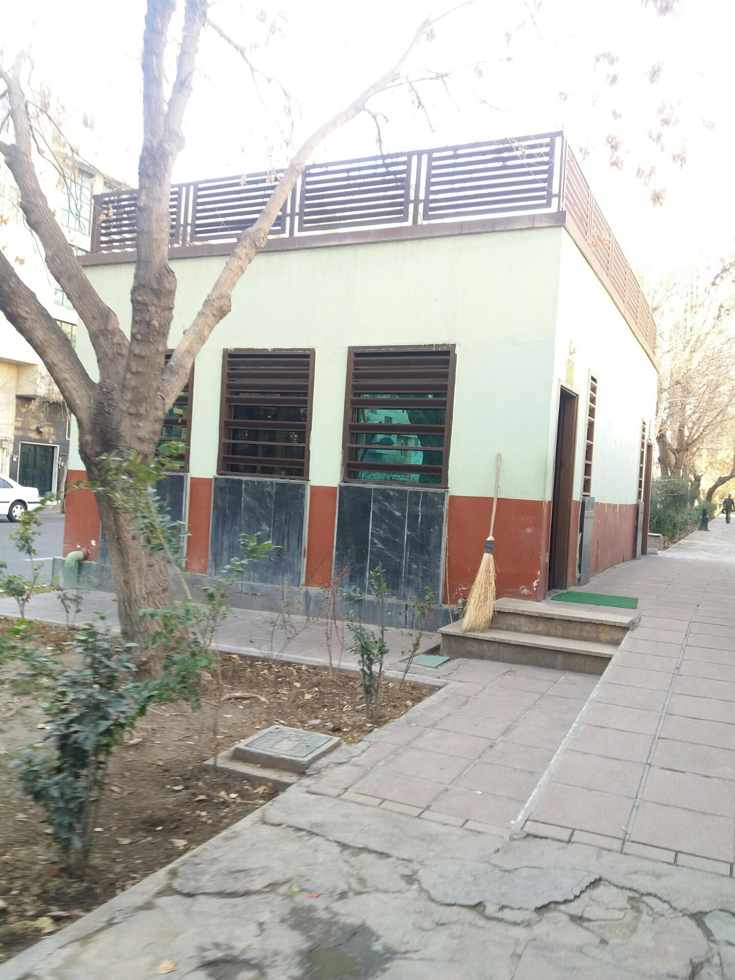 سرویس بهداشتی