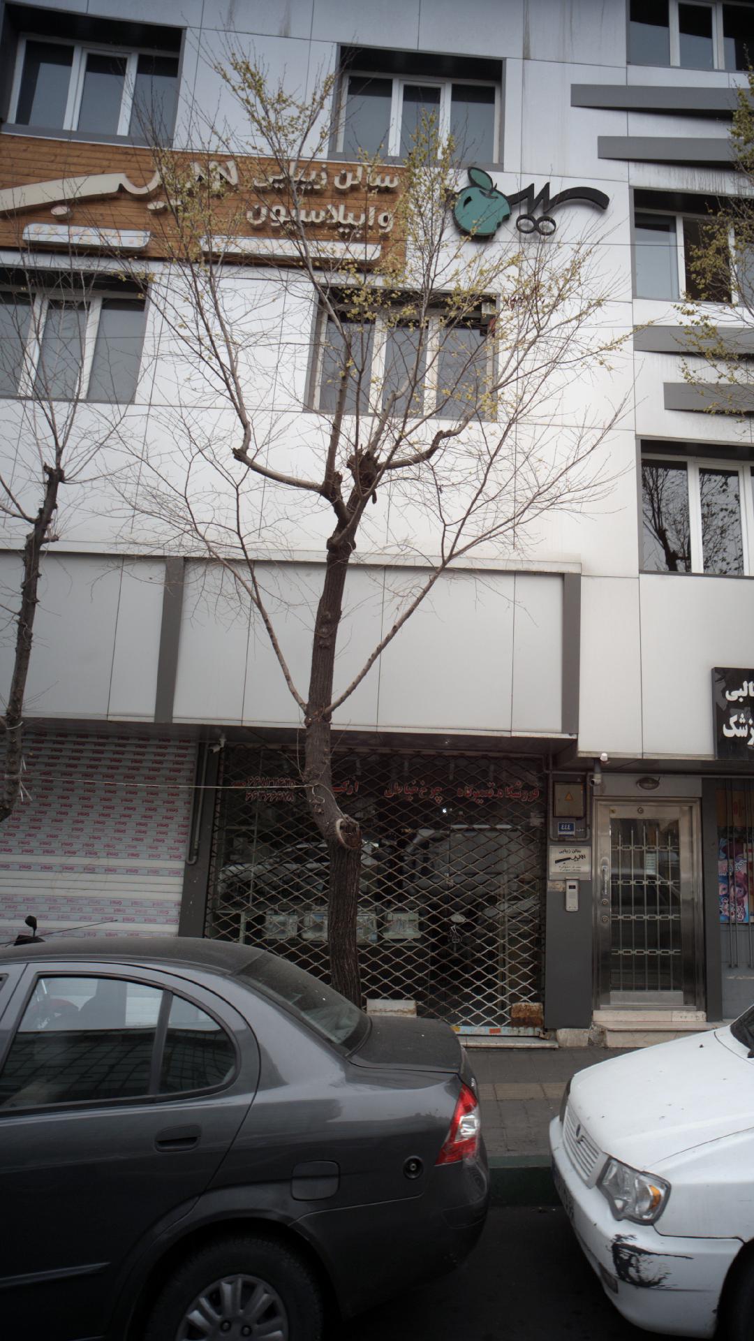 پیرایش مردانه گلبرگ