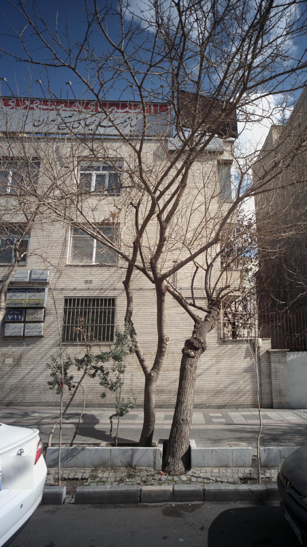 روزنامه هفت صبح