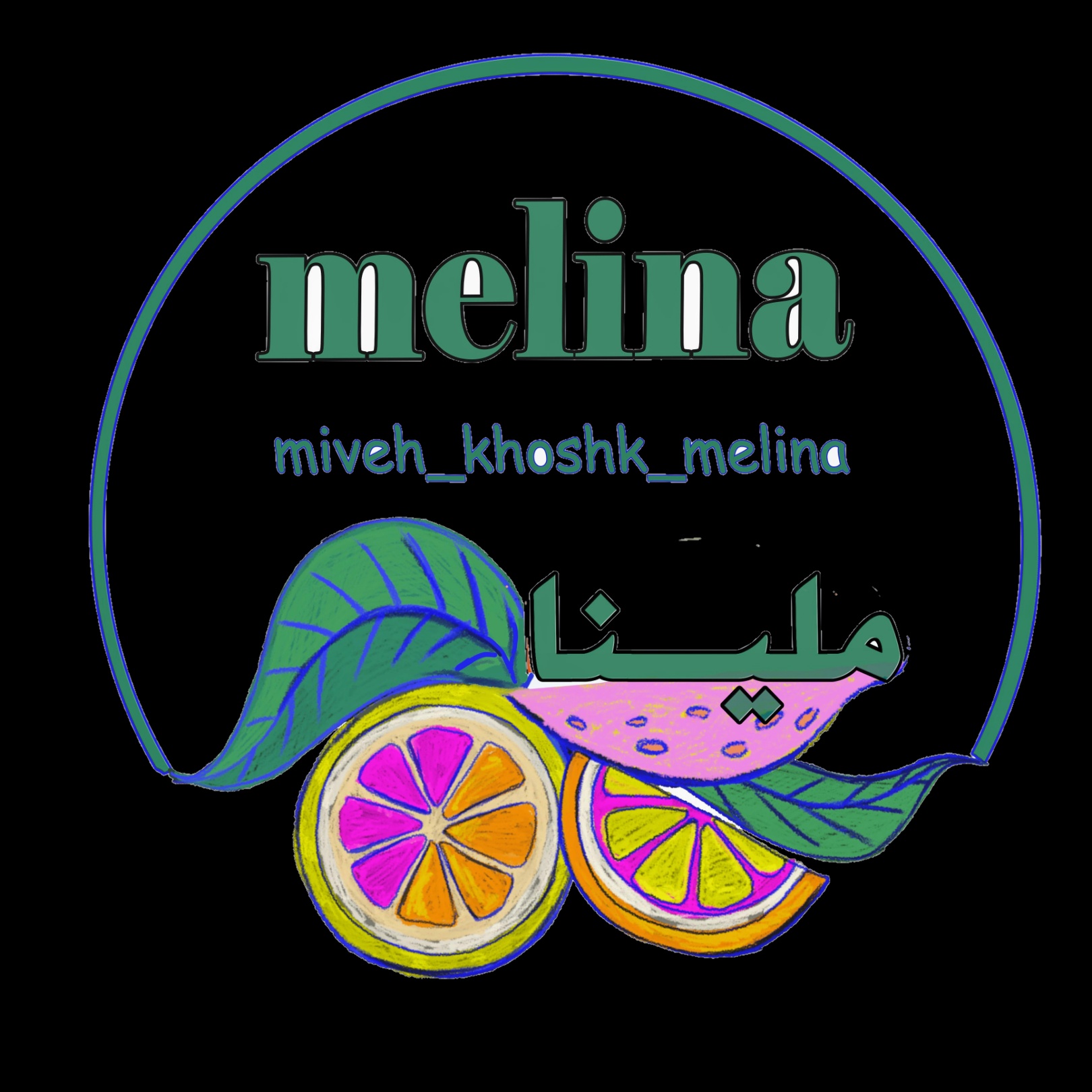 محصولات خشک ملینا