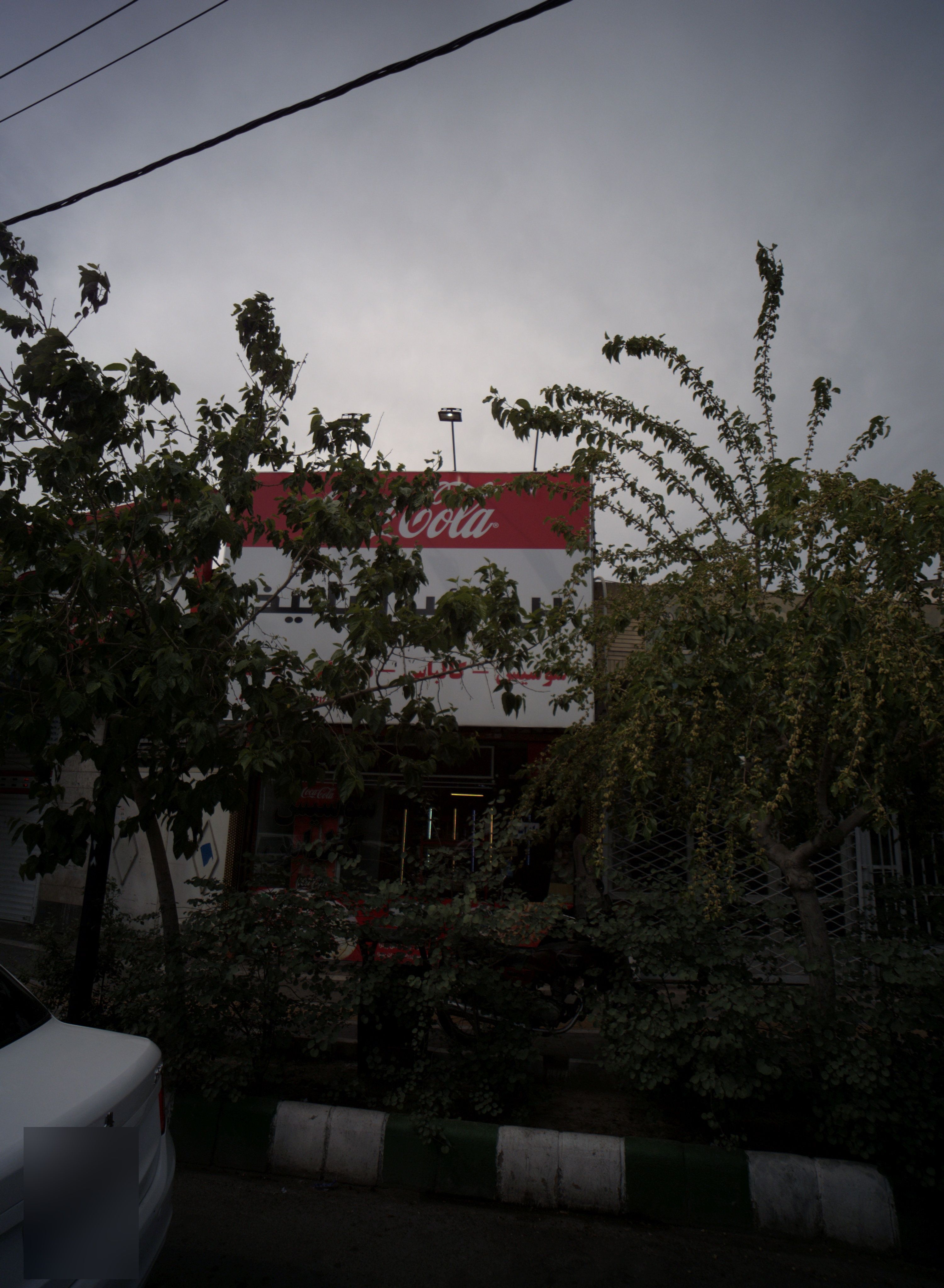 پروتئینی پانیذ