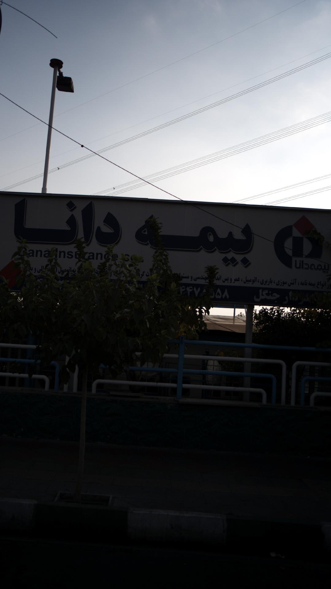 بیمه دانا