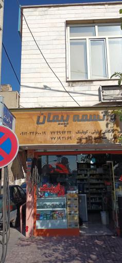 بلبرینگ و تسمه  پیمان