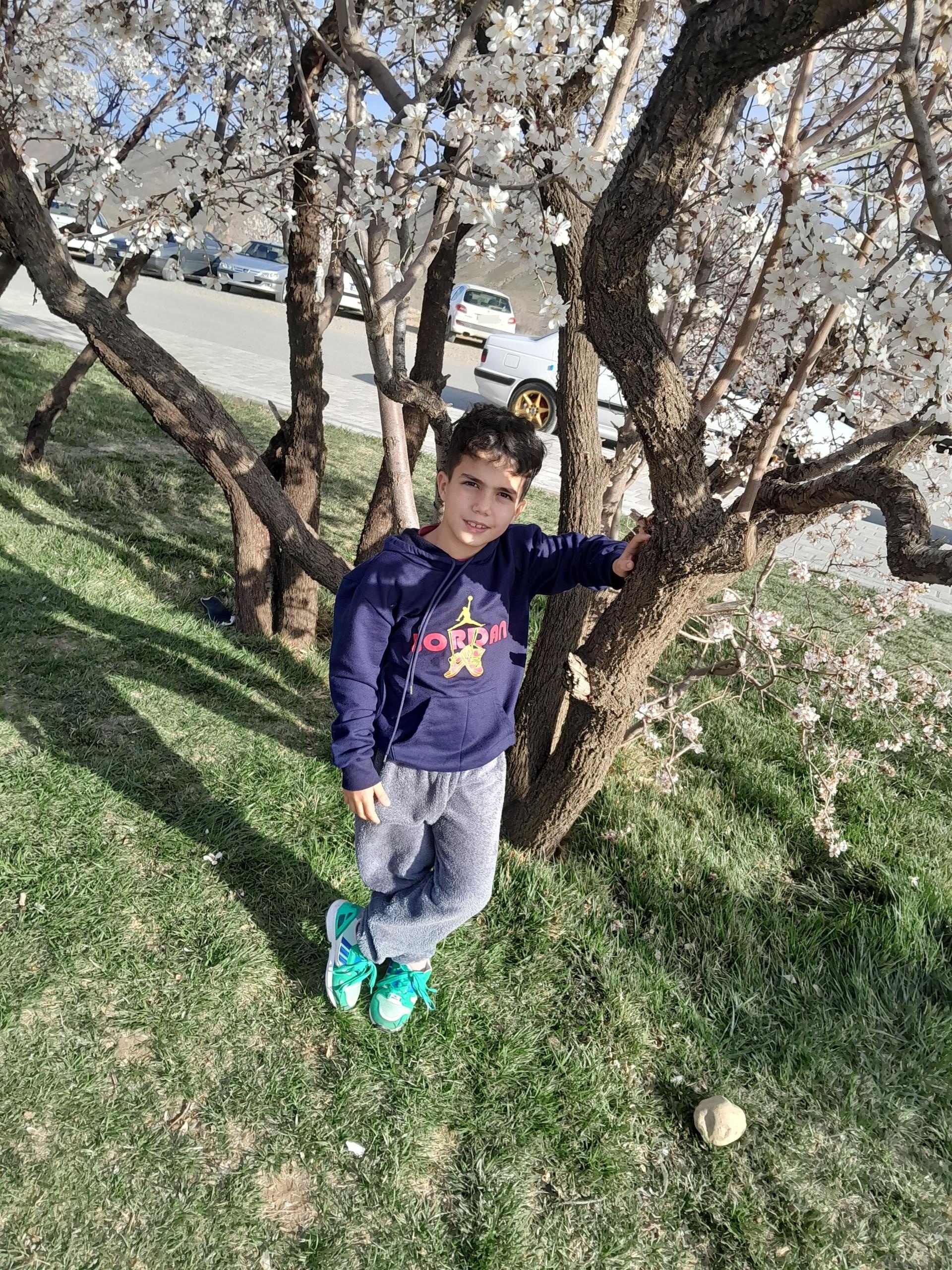 بوستان قائم