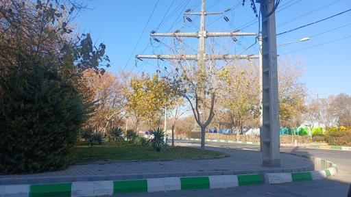 بوستان شیرازی