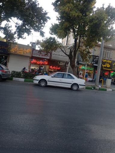 عسل عباس زاده