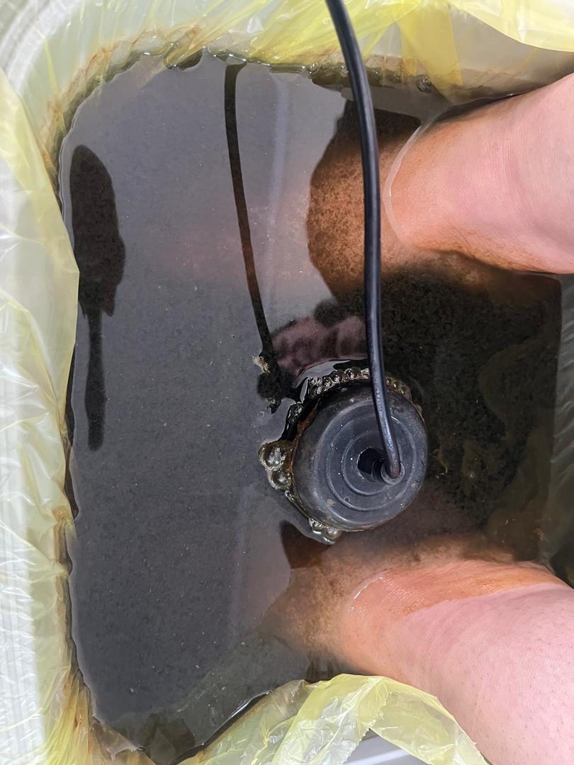 مرکز تخصصی پوست مو و زیبایی کاملیا