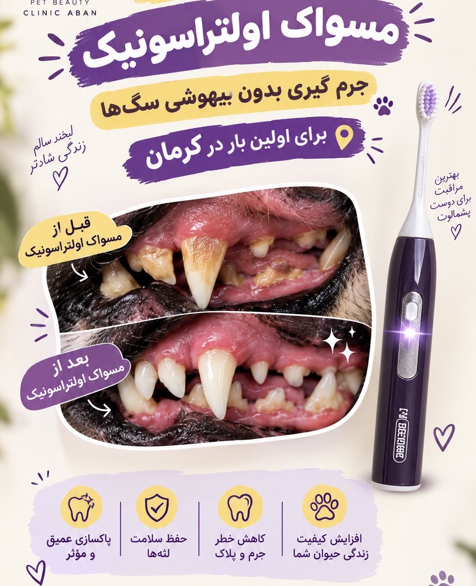 آرایشگاه حیوانات پت بیوتی