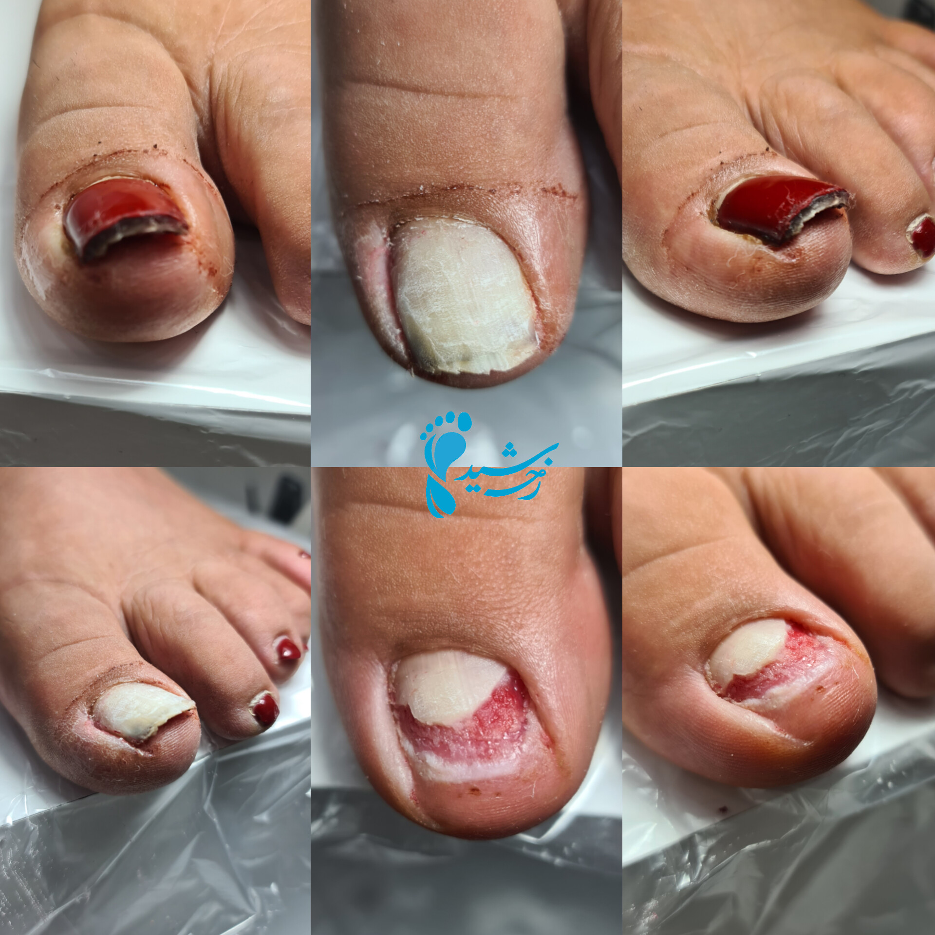 موسسه نیلگون طراوت رخ شید