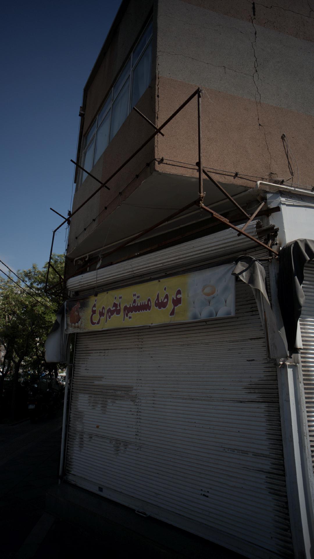 عرضه مستقیم تخم مرغ