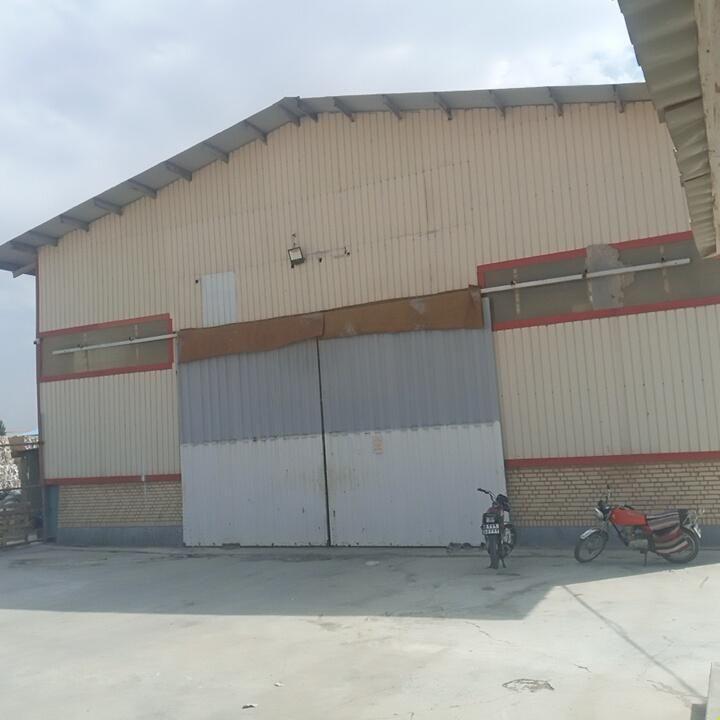 پاپیروس صنعت اسپادانا