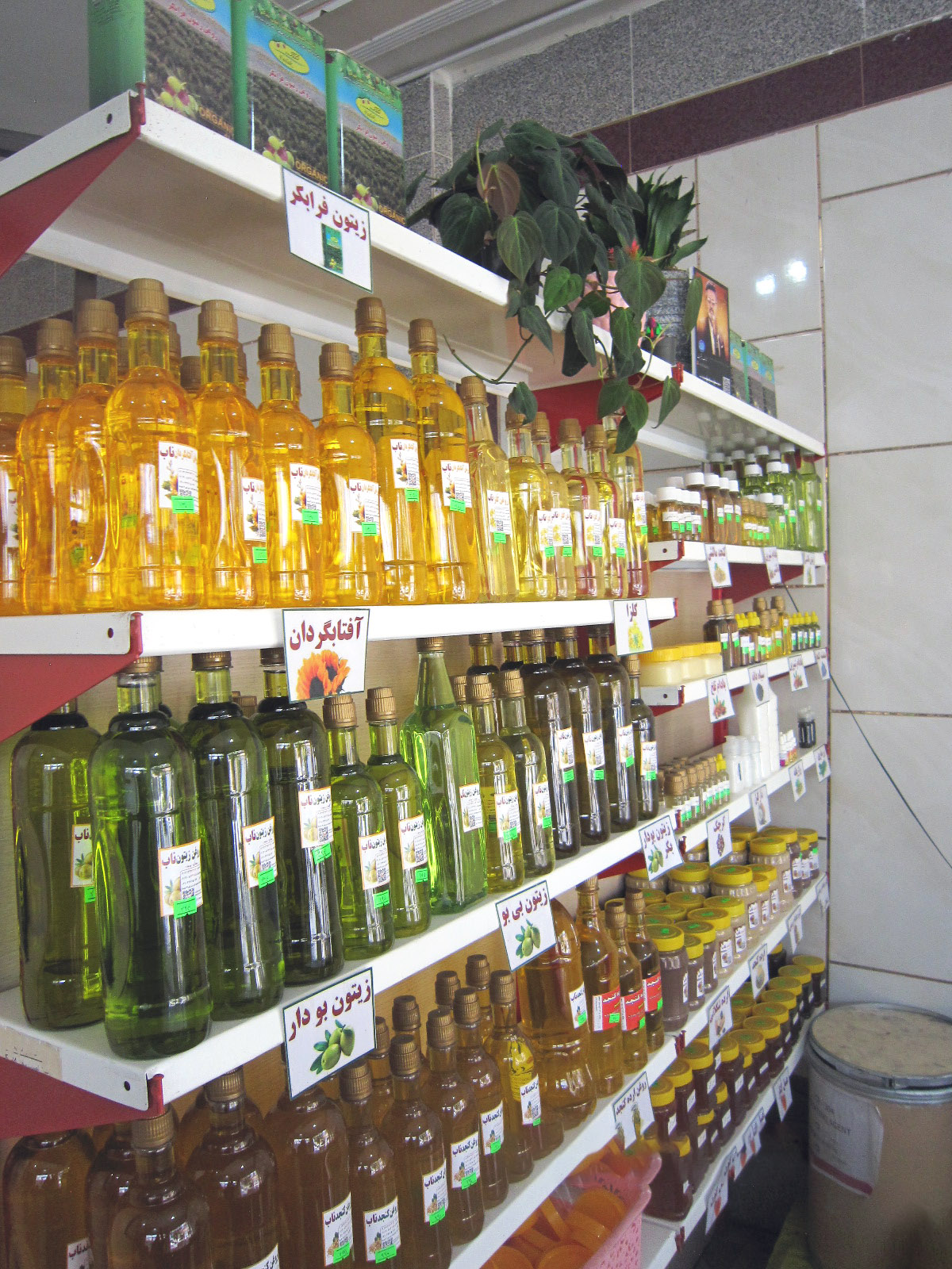 روغن گیری ناب فرهمندی