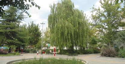 بوستان ارغوان