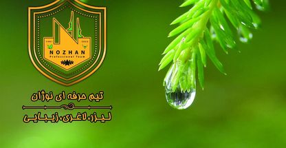 تیم حرفه ای نوژان