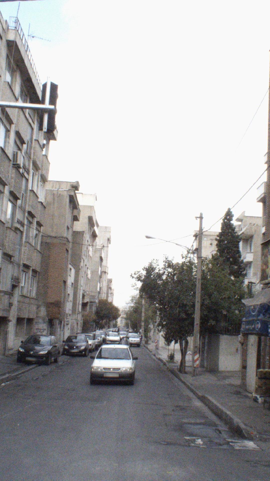 میوه وتره بار شادمهر