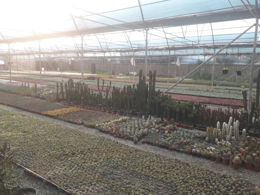 شرکت گلکده اقلیم سبز