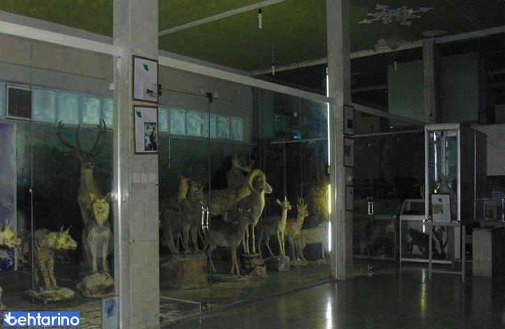 موزه حیات وحش لرستان