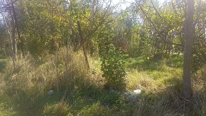 مجتمع اقامتی و بوم گردی نیارا (سیدرحیمی)