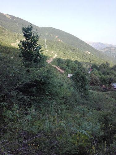 اقامتگاه بوگردی تیه