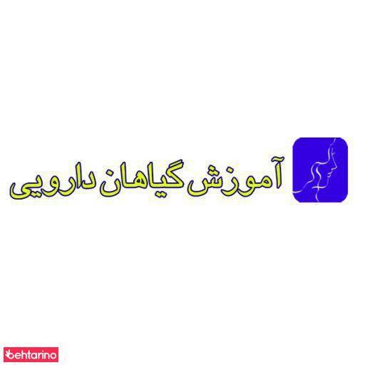 پخش فراورده گیاهی آرنیکا