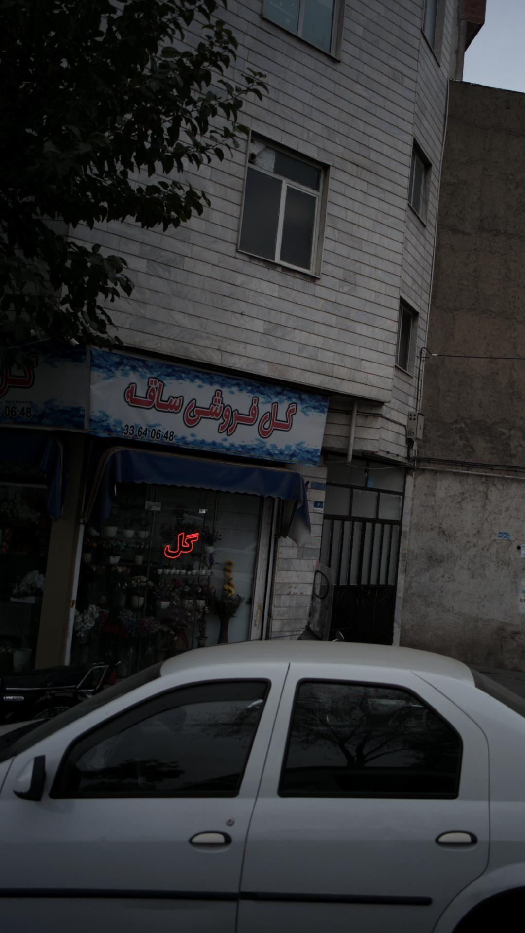 گل فروشی ساقه