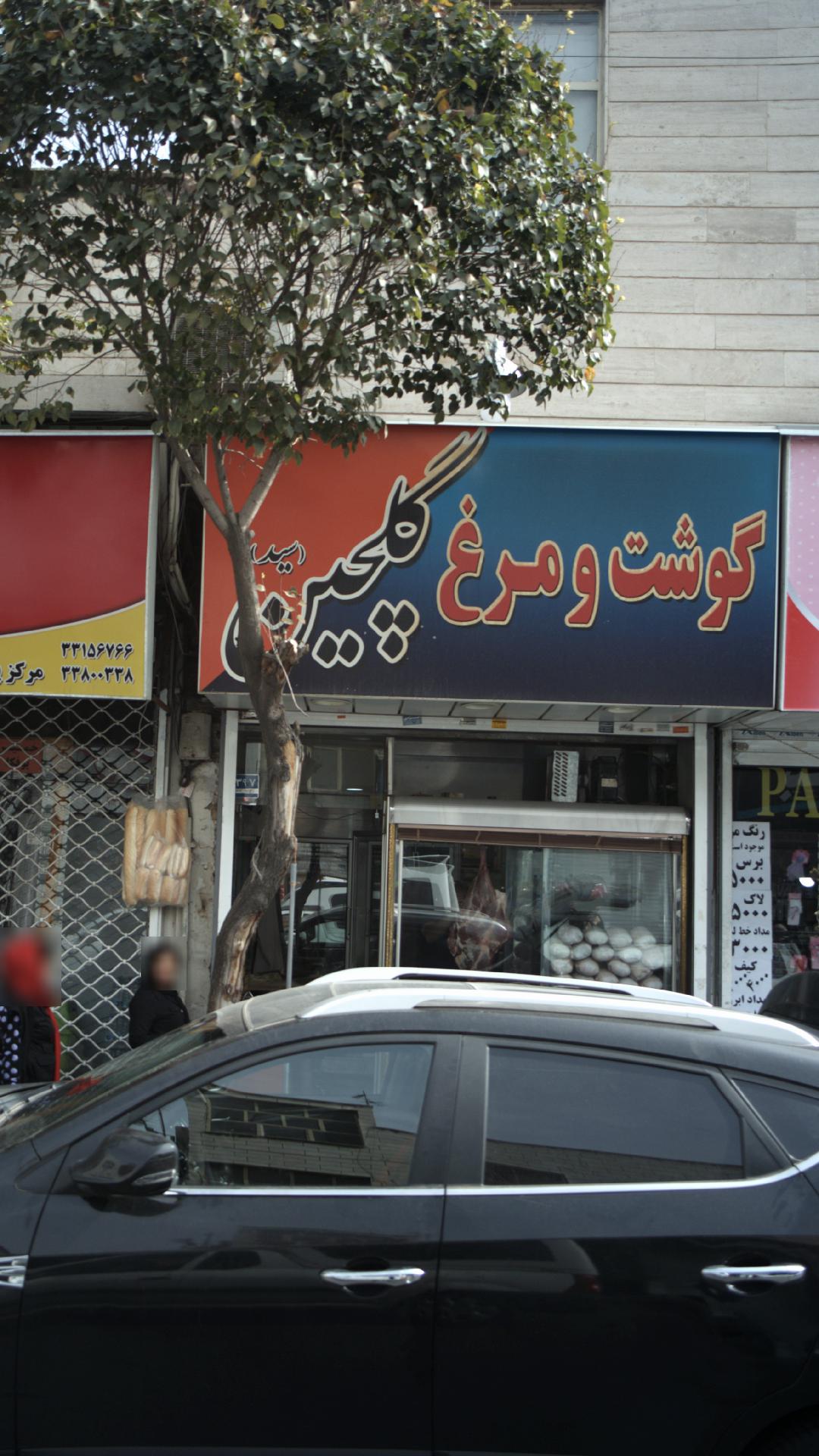 گوشت و مرغ گلچین (سید)